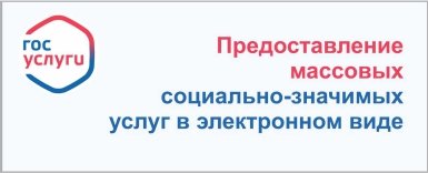 Массовые-социально-значимые услуги в электронном виде